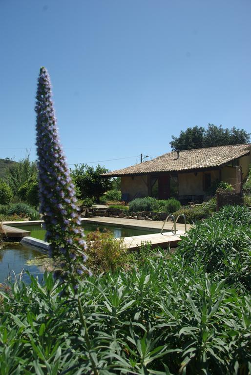 Quinta Do Arade - Casa 4 Petalas Barranco do Resgalho Buitenkant foto